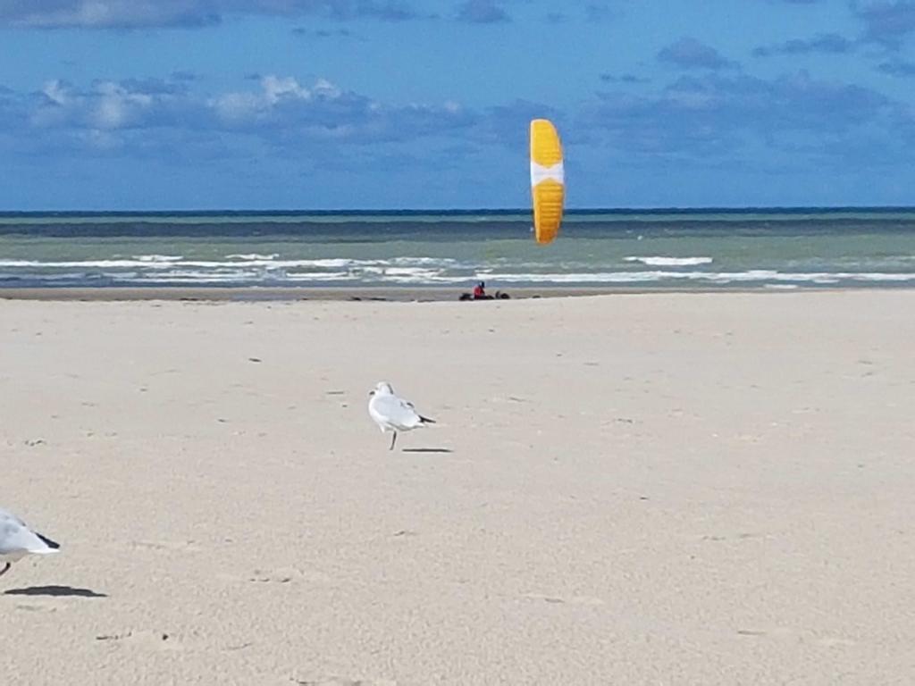 Les Fruits De Mer, Terrasse Sud, Parking Gratuit, Calme Et Tout A Pied Berck Exterior foto